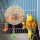thumbnail image 3 of Juguete Ambiental Para Pájaros, Juguete Para Masticar Pájaros, Loro Columpio Colgante Trenzado De Paja Para Juguete Para Masticar Jaula Para Pájaros Cergrey S, 3 of 8