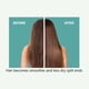 thumbnail image 5 of Teissuly Keratin Repair Non Evaporative Membrane Nourishing Hair Conditioner Teissuly WER202401227728, 5 of 9