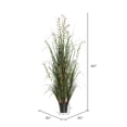 thumbnail image 4 of Vickerman 60" Artificial Potted Green Grass and Eucalyptus., 4 of 5
