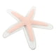 thumbnail image 3 of Colgante de estrella de mar de resina, decoración de pared de estrella de mar de resina, colgante para dormitorio, 3 of 5