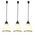 thumbnail image 1 of FSLiving H Type Track Light 3-Pack Frosted Glass Mini Pendant Light Customizable - Bronze, 1 of 5