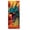 Dragon, variant on Beistle - Vintage Circus Door Cover - 6' x 30" - Pack of 12