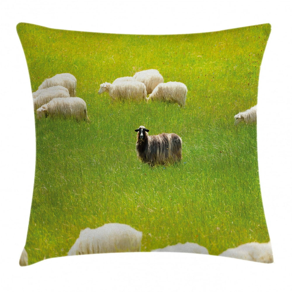 Nature Throw Pillow Cushion Cover, Black Sheep between White Goats on Grass Field Meadow Animal