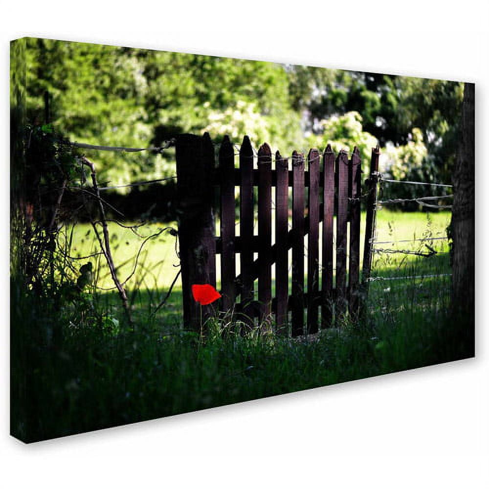 Trademark Fine Art "Press the Red Button" Canvas Art by Philippe Sainte-Laudy