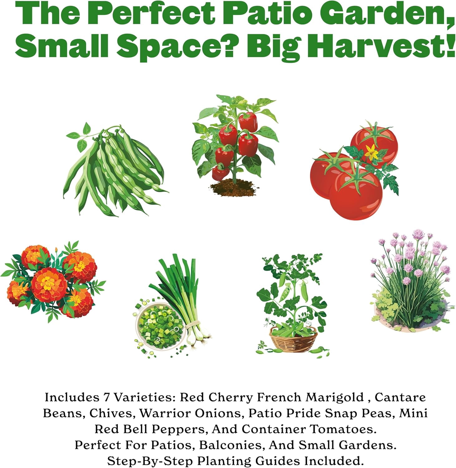 Epic Gardening Beginner Patio Garden Seed Kit, 7 Compact Varieties for Small Spaces, Includes Peppers, Beans, Tomatoes & Flowers, Non-GMO Seeds