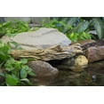 thumbnail image 2 of Aquascape 78276 30 in. Faux Driftwood, 2 of 4