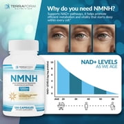 NMNH Dihydronicotinamide Mononucleotide 1000mg – NMNH Supplement with Sunflower Lecithin Liposomal Delivery Matrix for Enhanced Absorption – 120 Capsules (60 Servings) – NAD+ Support