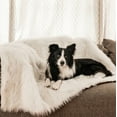 thumbnail image 3 of Paw PupProtector Waterproof Throw Blanket Polar White, 3 of 6