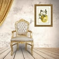 thumbnail image 3 of Maria Sibylla Merian 19x24 Gold Ornate Framed and Double Matted Museum Art Print Titled - Pompelmous (1705), 3 of 4
