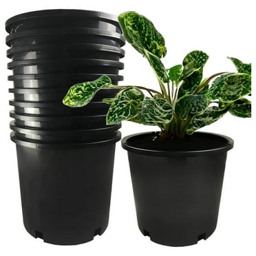 10-Pack 5 Gallon Premium Black Plastic Nursery Plant Container Garden Planter Pots (5 Gallon)