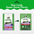 thumbnail image 4 of Greenies Blueberry Flavor Adult Natural Dental Dog Treats Regular Size, 12 oz Pack (12 Count), 4 of 12