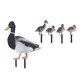 thumbnail image 4 of Estacas De Pato Para Jardín, Realistas, Duraderas, Lindas, 5 Piezas, Acrílico Para Jardín De Pato Para Césped, 4 of 7