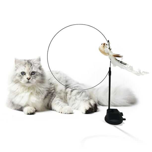Ventosa y juguetes interactivos Desmontables para gatos perfecl Juguete para jugar con plumas