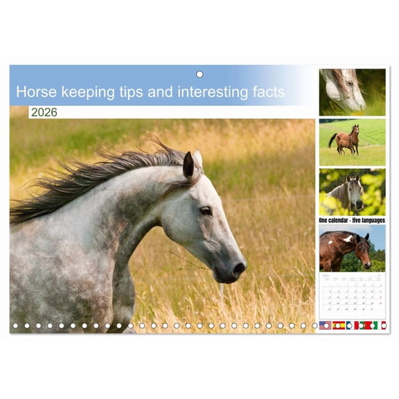 Horse keeping tips and interesting facts (Monthly Wall Calendar 2026 11.7 x 16.5 (open)), CALVENDO 14 Month Calendar