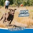 thumbnail image 5 of Chuckit! Sport 26L Ball Launcher Fetch Dog Toy, 26" L, for Large Dog Balls (3") for Dogs 60-100 lb, 1 Launcher with Ball, 5 of 12