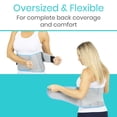 thumbnail image 2 of Vive Wearable Ice Packs for Back Pain - Back Brace with Ice Pack - Ice Belt for Lower Back Pain - Gel Ice Pack Back for Sciatica Relief Men, Women - Compression Hot Cold, 2 of 9