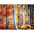 thumbnail image 2 of Villa, Mlli 18x15 White Modern Wood Framed Museum Art Print Titled - Fall Is Here, 2 of 4