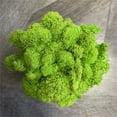 thumbnail image 2 of Fake Moss Preserved Reindeer Moss for Potted Plants, Arts and Crafts, Terrariums, Wall Decor, Centerpieces, Fairy Gardens, Wedding, Floral Project, 2 of 2