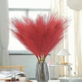 thumbnail image 5 of 20PCS Artificial Pampas Grass Decor – 21.65" Fluffy Bohemian Reed Stems for Wedding, Home, Vase Arrangement (Hypoallergenic, No Shedding), 5 of 5
