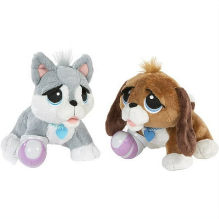 Rescue Pets Healthy Pet Check Up Assortment