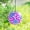Purple&Flower, variant on MUMTOP Solar Outdoor Hanging Lantern