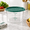 Green-2 Qt-1, variant on Green 2 Qt Set of 2 Round Polycarbonate Food Storage and Dough Proofing Containers with Lids