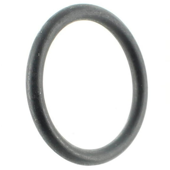 Sea-Doo New OEM Pump Rubber O-Ring, 293300013