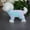 Lake Green Purple, variant on Cool Clothing for Dogs in Spring and Summer, Breathable and Ice Resistant Pet Sunscreen, Four Legged Clothing for Dogs in Spring and Summer