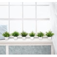 thumbnail image 2 of Plantas de simulación Plantas falsas Plantas verdes Interior y exterior Decorativas Eucalipto en maceta de plástico Plantas en macetas pequeñas, 2 of 4