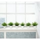 thumbnail image 4 of Plantas de simulación Plantas falsas Plantas verdes Interior y exterior Decorativas Eucalipto en maceta de plástico Plantas en macetas pequeñas, 4 of 4