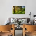 thumbnail image 5 of VELVET Morning Sunlight Forest Wall Art Nature Scenery Pictures Wall Decor Sunrise Woodland Painting for Living Room Rustic Green Grass Scenic Photography Prints Canvas Decoration 24x20inch Framed, 5 of 6
