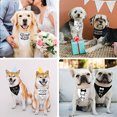 thumbnail image 5 of El Mejor Pañuelo Para Perros Y Perros Para Bodas, Regalo De esquí esquí Gafas de esquí, 5 of 5
