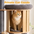 thumbnail image 6 of HITTITE Solid Wood Cat Tree Tower with Scratching Post, 61 Inches Tall Cat Towers with Capsule and Condo, Modern Cat Tower with Hammock and Removable Top Bed for Indoor Cats.Grey, 6 of 10
