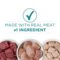 Purina ONE Grain Free Natural Pate Wet Cat Food Variety Pack Beef