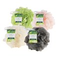 thumbnail image 2 of Esponja Loofah EcoTools Delicate EcoPouf, paquete de 4 unidades, 240 ml, 2 of 9