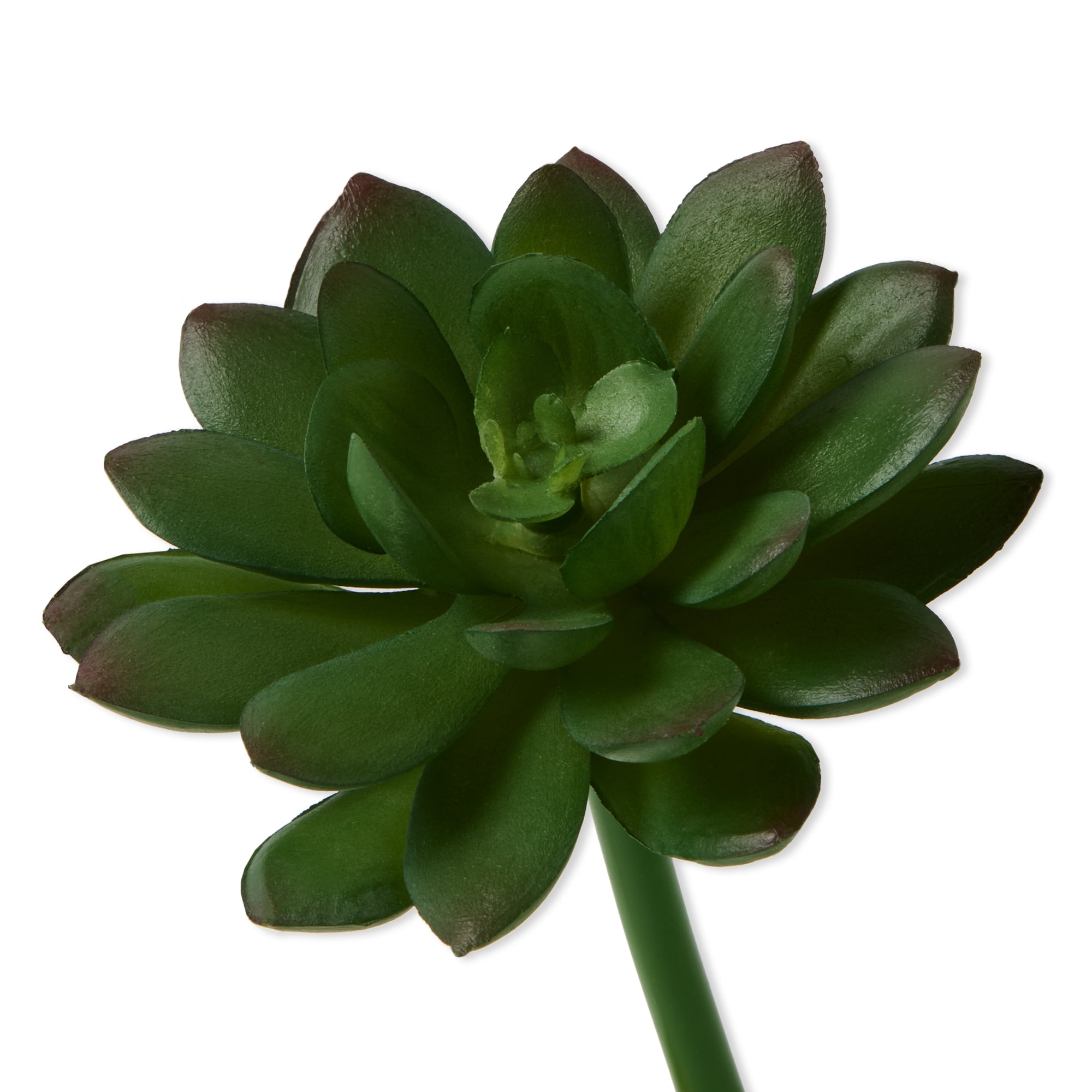 Mainstays Artificial Succulent Echeveria Pick 3 inch x 4.5 inch Green