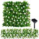 thumbnail image 3 of Muyoka Pantalla de privacidad de valla expandible 30x180CM Panel de valla artificial con 3 modos de luces solares Faux Ivy Hedge Flower Fence Decoración interior al aire libre para jardín Patio Balcón Muyoka Hogar, 3 of 7