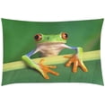 thumbnail image 4 of ZHANZZK 3 Piece Bedding Set Lovely Frog Twin Size Duvet Cover with 2 Pillowcase for Home Bedding Room Decoration, 4 of 4