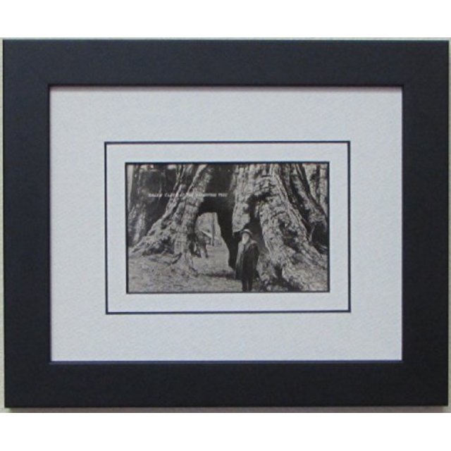 Post Card Frame for 3.5" X 5.5" Post Card Black Frame with White (Black Trim) Matting
