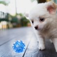 thumbnail image 5 of Pelota para Perros JAMW Chirriante Interactiva TPR Suave para Cachorros Pequeños, 5 of 5