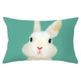 thumbnail image 1 of BotaniNest Easter Single-sided brushed peach skin Square Decorative Pillow Case Cover, 1 of 3