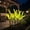 1PCS, variant on Solar Foxtail Lights, LED Solar-Powered Illuminated Foxtail Grass Lamp, Garden and Courtyard Decorative Courtyard Light, Bring Soft, Glowing Foxtail Grass Vibes to Your Outdoor Space