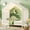 White, variant on Mirightone Twin Bed Frame with Rails, Twin Size Floor Bed, Wood House Canopy Bed Frame, White