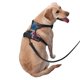thumbnail image 2 of Fotbe Blue Lipped Pit Viper And Three Pink Roses Arnés para Perro con Estampado –Chaleco Ajustable Acolchado con Asa de Control para Perros Grandes-Medium, 2 of 6