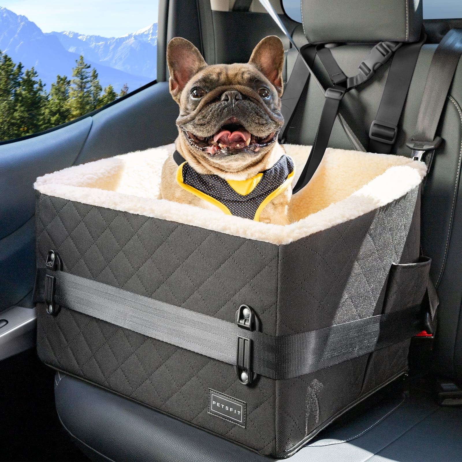 PETSFIT Dog Car Seats for Small Dogs, Patented Safety Buckles, Detachable Clip-On Safety Leash，30 LBS (Black)
