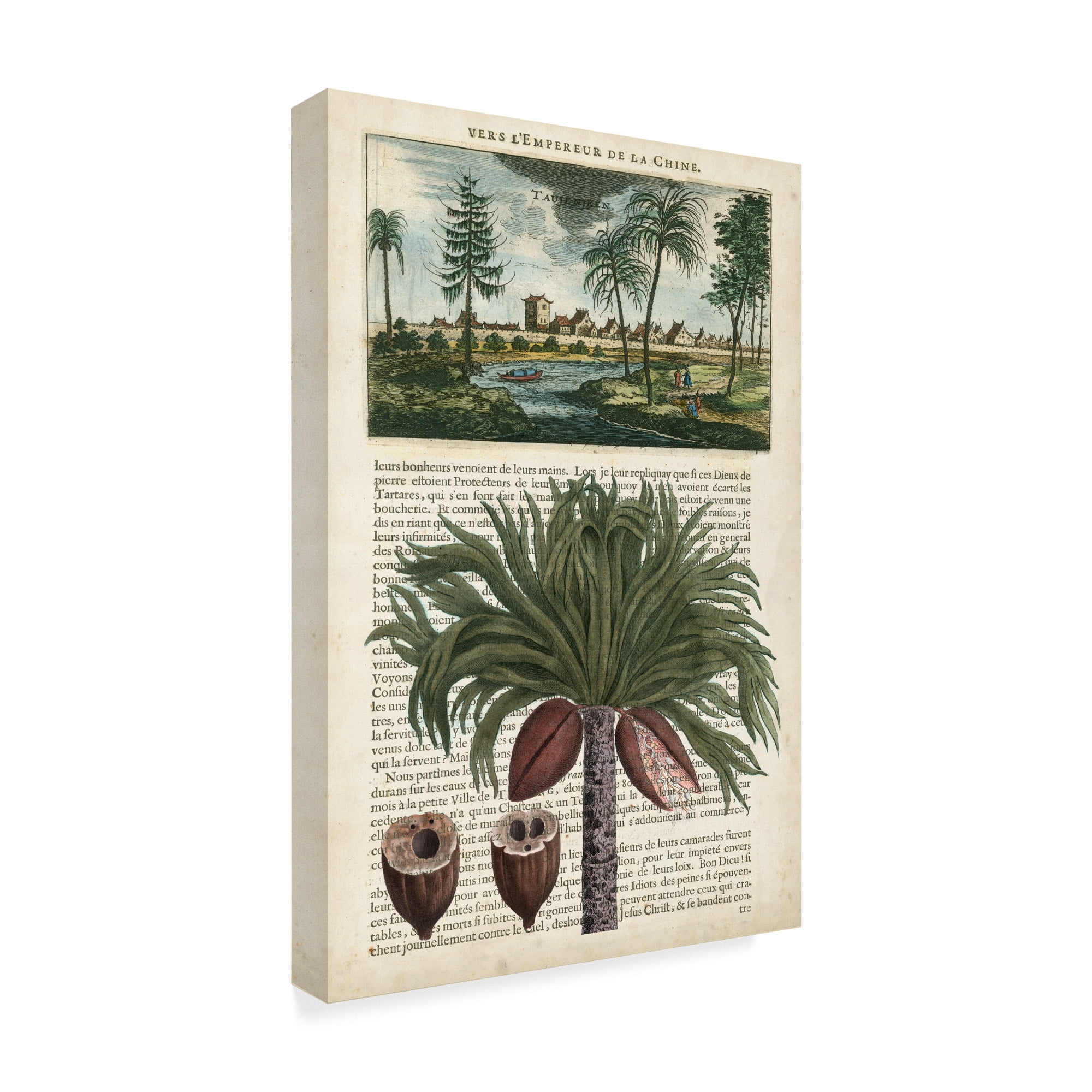 Trademark Fine Art 'Journal of the Tropics IV' Canvas Art by Vision Studio