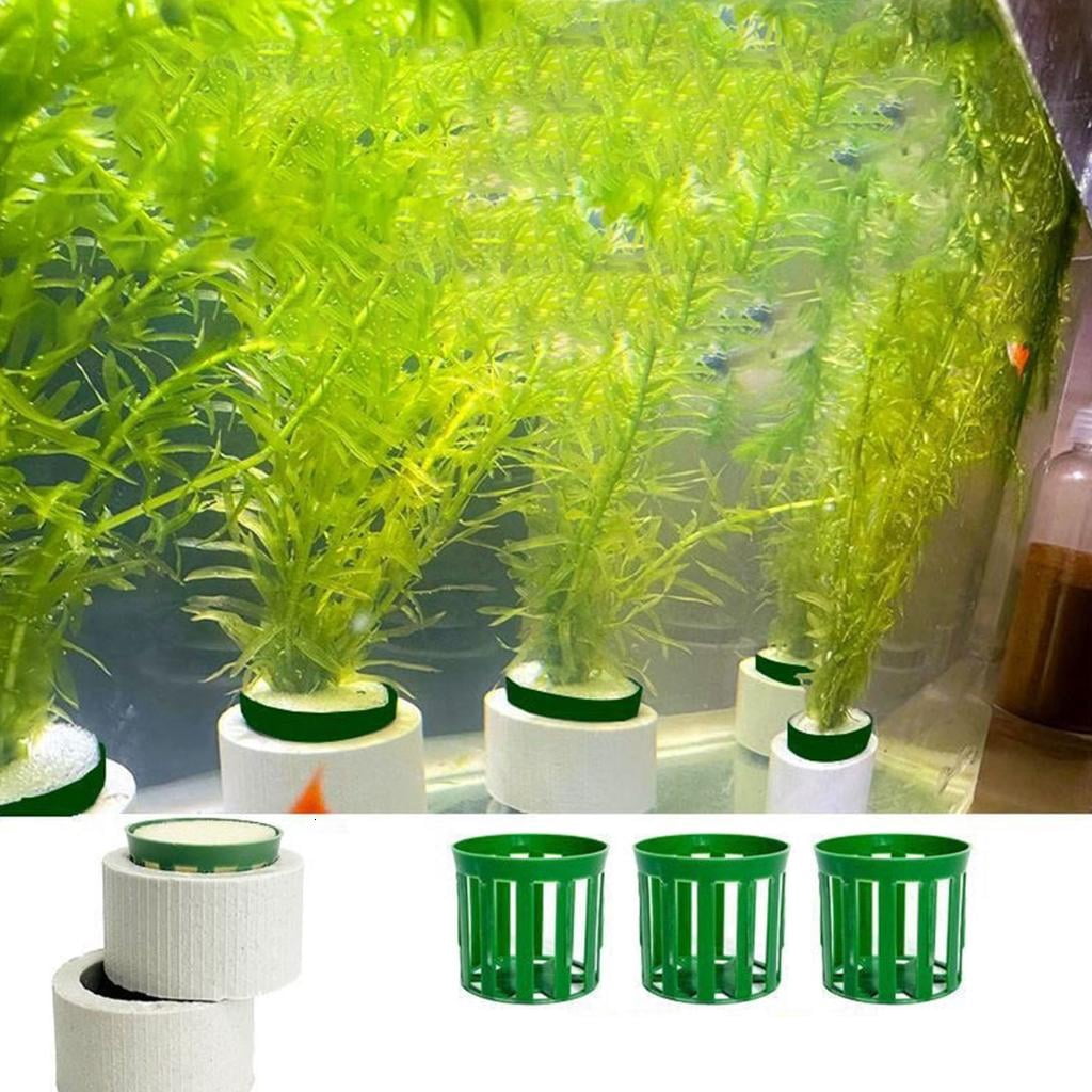 10Pcs Water Plant Weights Ceramic Aquarium Plant Fixed Rings Aquarium Decoration Accessories for Freshwater Saltwater