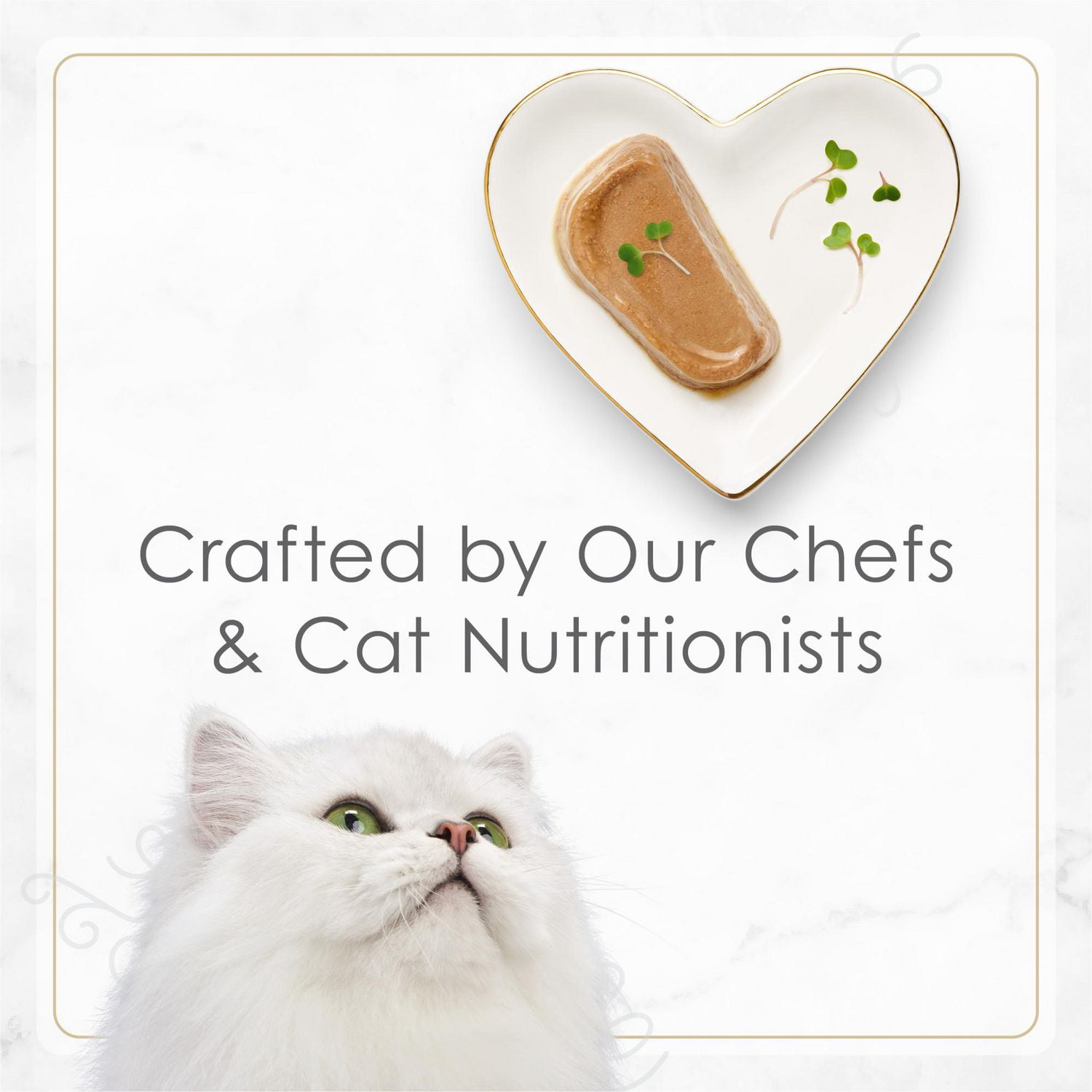 Fancy Feast Petites Pâté Entrée de Dinde Tendre, Nourriture Humide pour Chats 79.4 g