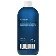 Botanic Hearth Tea Tree Face Wash with Mint - Acne Fighting, Premium, Hydrating Liquid Face Soap with Pure Tea Tree Oil - for Women and Men, Paraben Free, Fights Acne - 16 fl oz