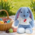 thumbnail image 6 of Free Express Easter Bunny Plush Stuffed Animal with Removable Heart Knit Sweater Soft Fluffy Rabbit Toy for Spring Home Decor Easter Gift and Playtime, 6 of 6
